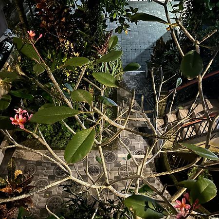 Balimas Guest House 乌布 外观 照片